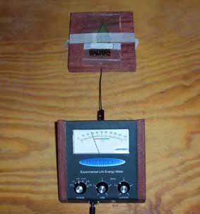 leaf on the plate for measuring